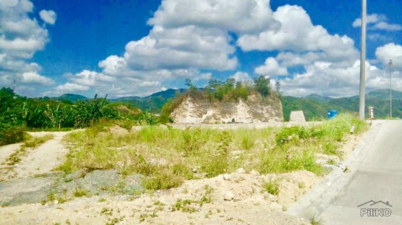 Residential Lot for sale in Mandaue - image 2
