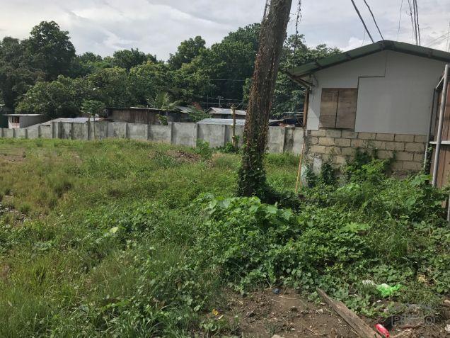 Commercial Lot for sale in Mandaue - image 2