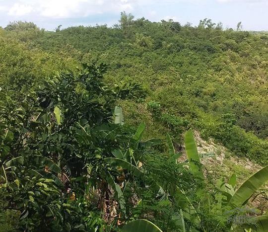 Residential Lot for sale in Mandaue - image 2