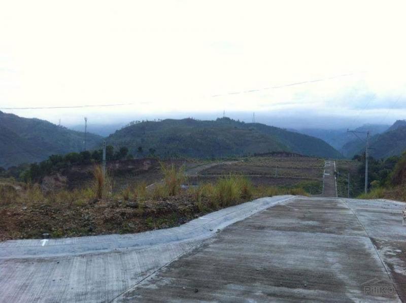 Lot for sale in Minglanilla - image 4