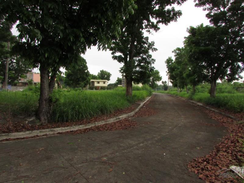 Residential Lot for sale in Bacolod - image 4