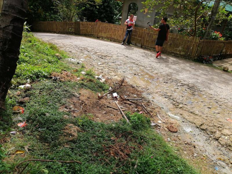Agricultural Lot for sale in Consolacion