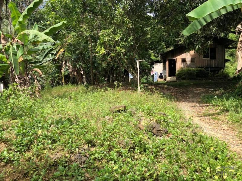 Agricultural Lot for sale in Consolacion in Cebu
