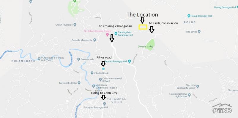 Agricultural Lot for sale in Consolacion in Philippines