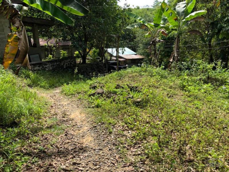Picture of Agricultural Lot for sale in Consolacion in Cebu