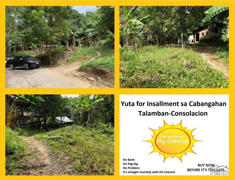 Picture of Agricultural Lot for sale in Consolacion in Philippines