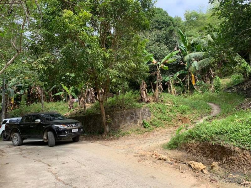 Agricultural Lot for sale in Consolacion in Philippines - image