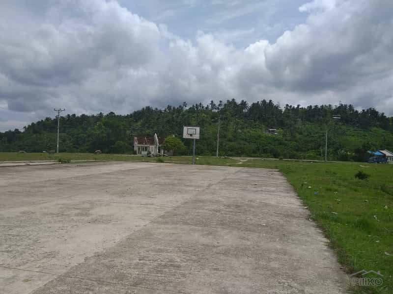 Picture of Lot for sale in Talisay