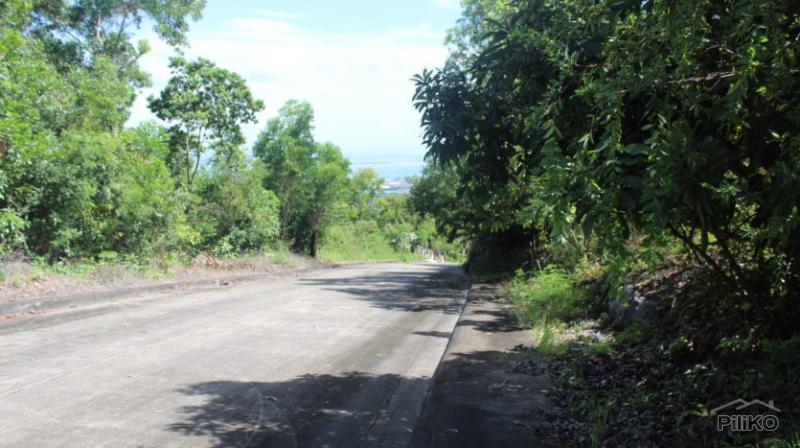 Lot for sale in Cebu City - image 2