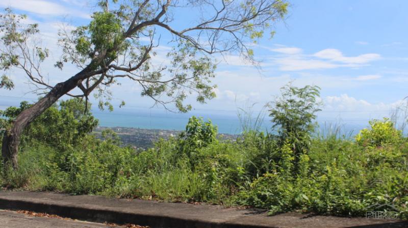Lot for sale in Cebu City - image 3