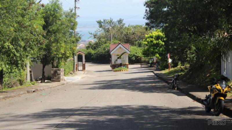 Lot for sale in Cebu City - image 7