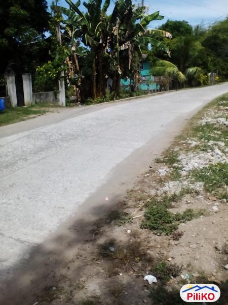 Pictures of Residential Lot for sale in Other Cities