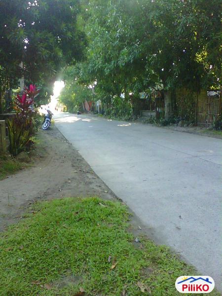 Pictures of Residential Lot for sale in Other Cities