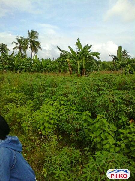 Residential Lot for sale in Other Cities - image 2
