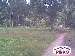 Agricultural Lot for sale in Other Cities in Negros Oriental