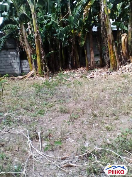 Residential Lot for sale in Other Cities in Negros Oriental