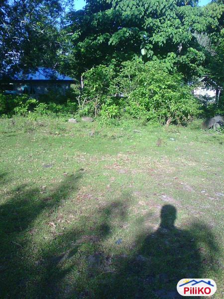 Residential Lot for sale in Other Cities - image 3