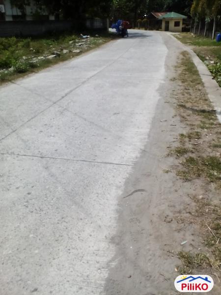 Residential Lot for sale in Other Cities - image 4