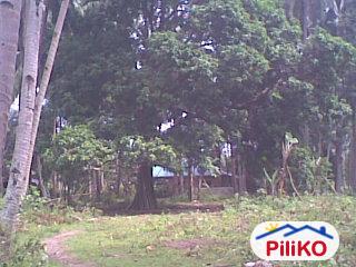 Agricultural Lot for sale in Other Cities in Philippines