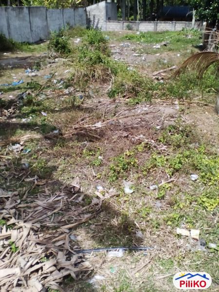 Picture of Residential Lot for sale in Other Cities in Negros Oriental