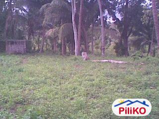 Picture of Agricultural Lot for sale in Other Cities in Negros Oriental