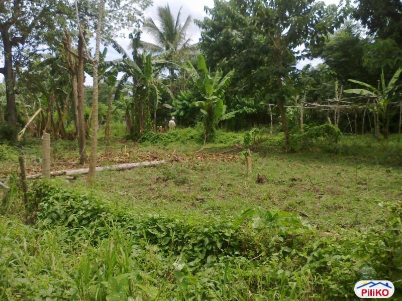 Residential Lot for sale in Other Cities - image 5