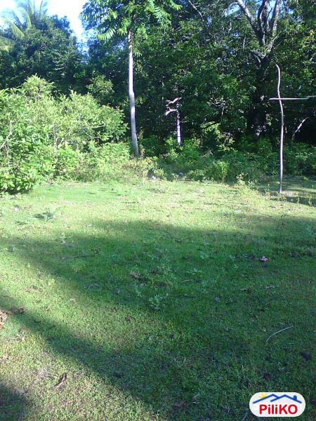 Picture of Residential Lot for sale in Other Cities in Negros Oriental