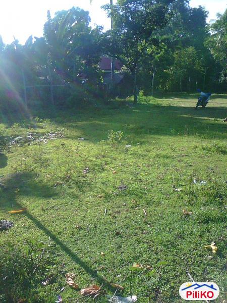 Picture of Residential Lot for sale in Other Cities in Philippines