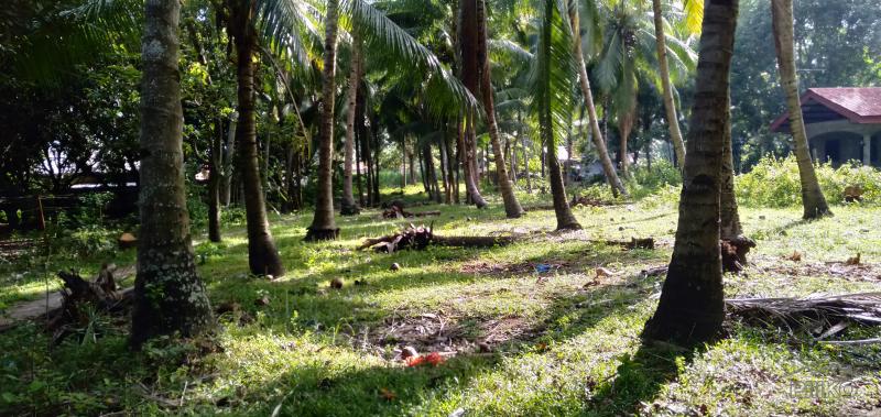 Picture of Lot for sale in Bacong