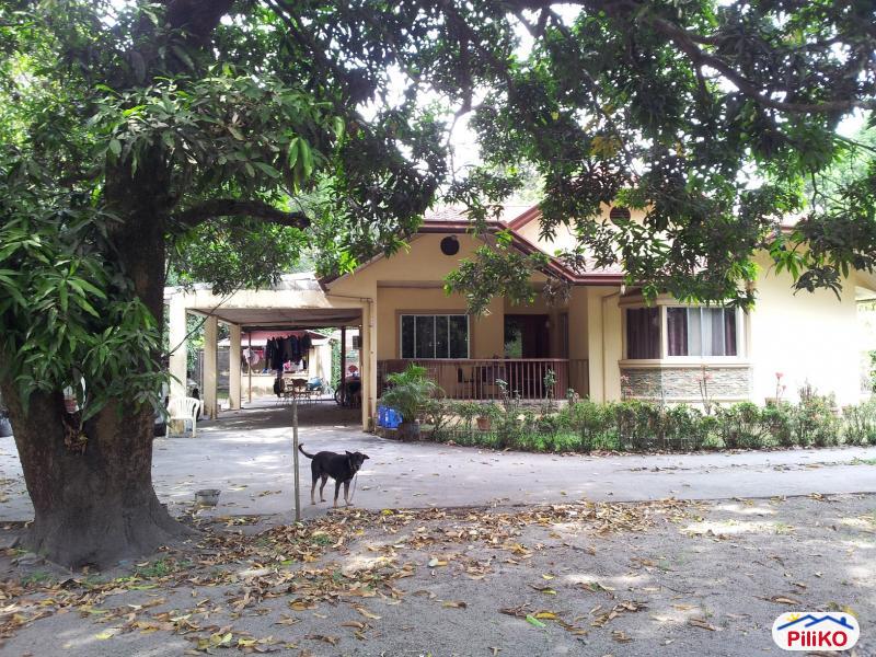 Pictures of 3 bedroom House and Lot for sale in Castillejos