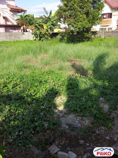 Picture of Residential Lot for sale in Castillejos