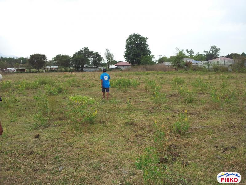 Pictures of Residential Lot for sale in Castillejos