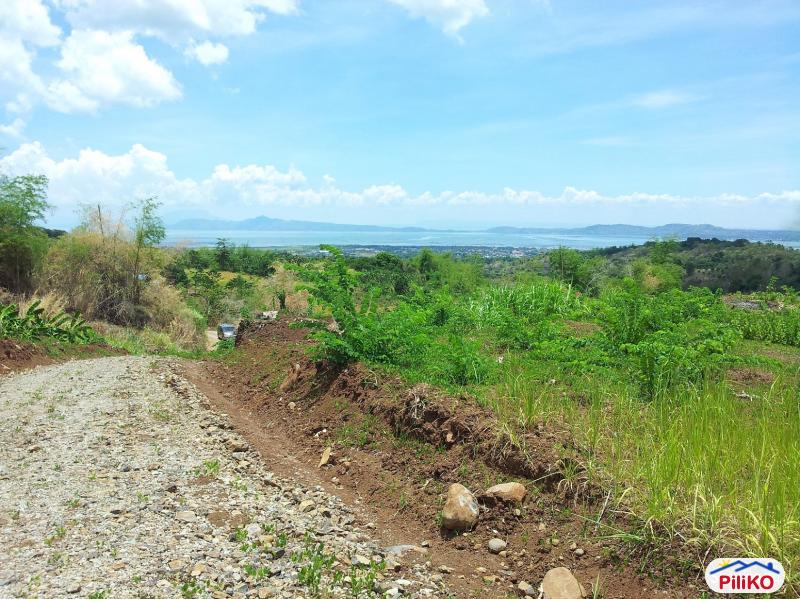 Pictures of Residential Lot for sale in Castillejos