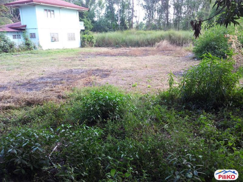 Residential Lot for sale in Castillejos - image 2