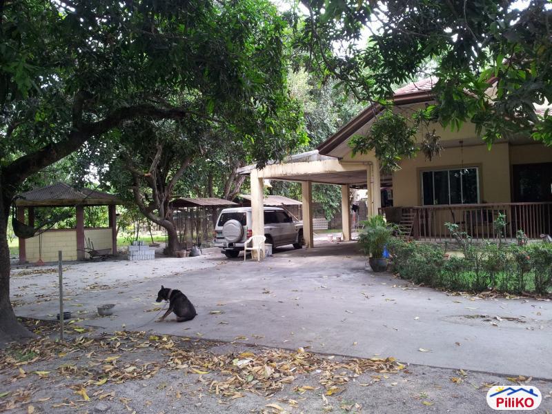 3 bedroom House and Lot for sale in Castillejos