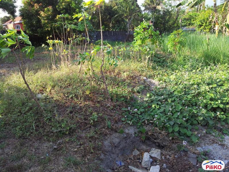 Residential Lot for sale in Castillejos - image 2