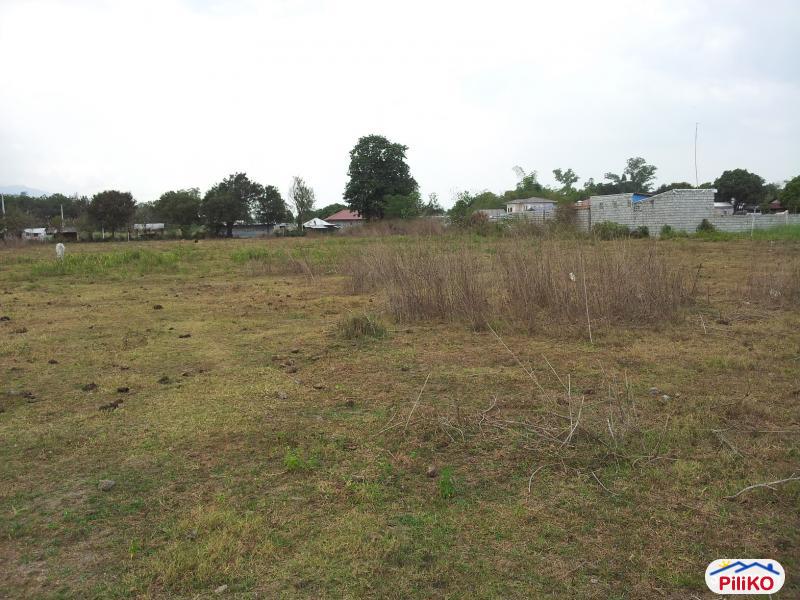 Residential Lot for sale in Castillejos - image 2