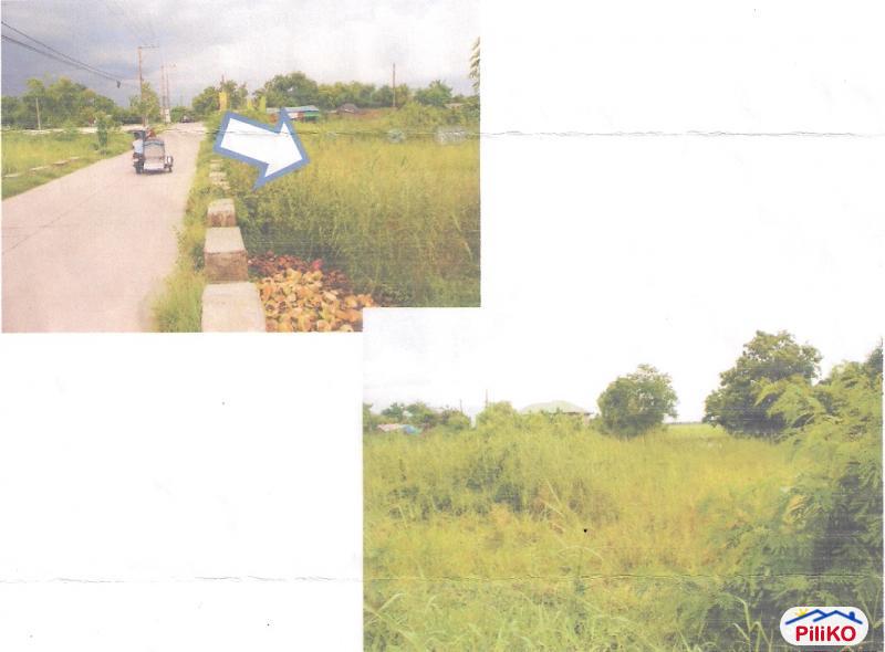 Commercial Lot for sale in Castillejos - image 2