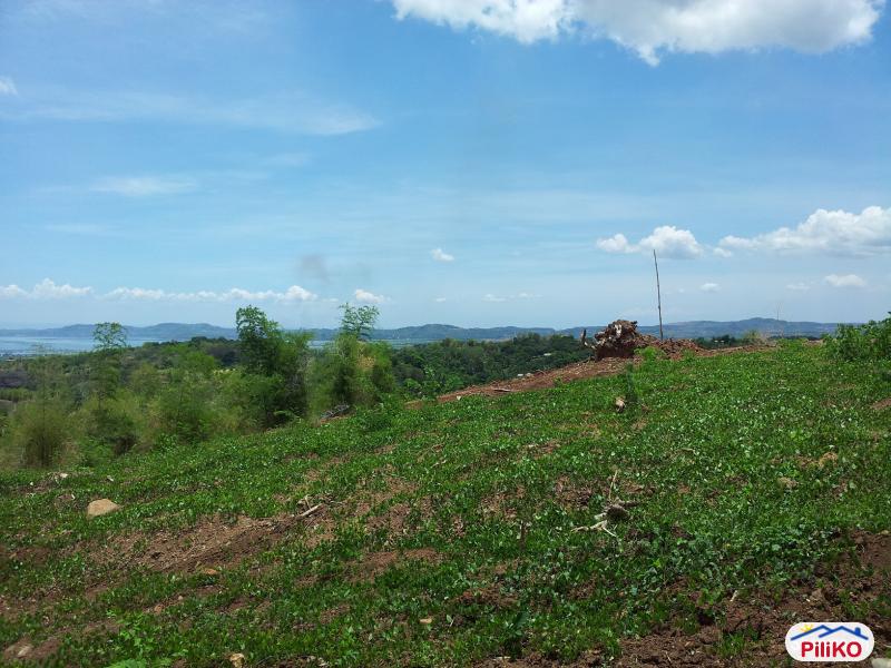 Residential Lot for sale in Castillejos - image 2