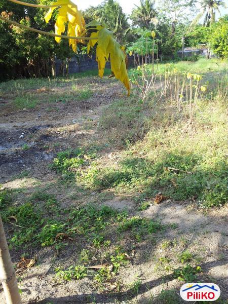 Residential Lot for sale in Castillejos - image 3