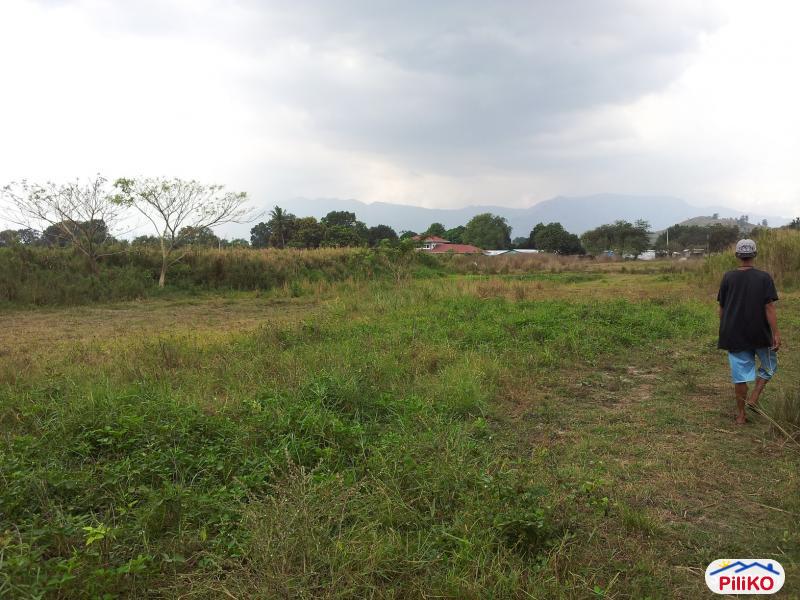 Residential Lot for sale in Castillejos - image 3