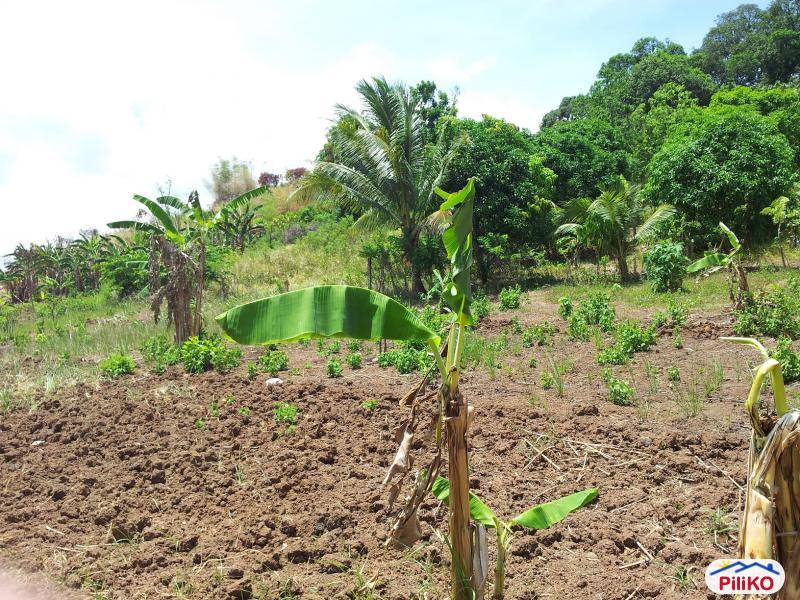 Residential Lot for sale in Castillejos - image 3