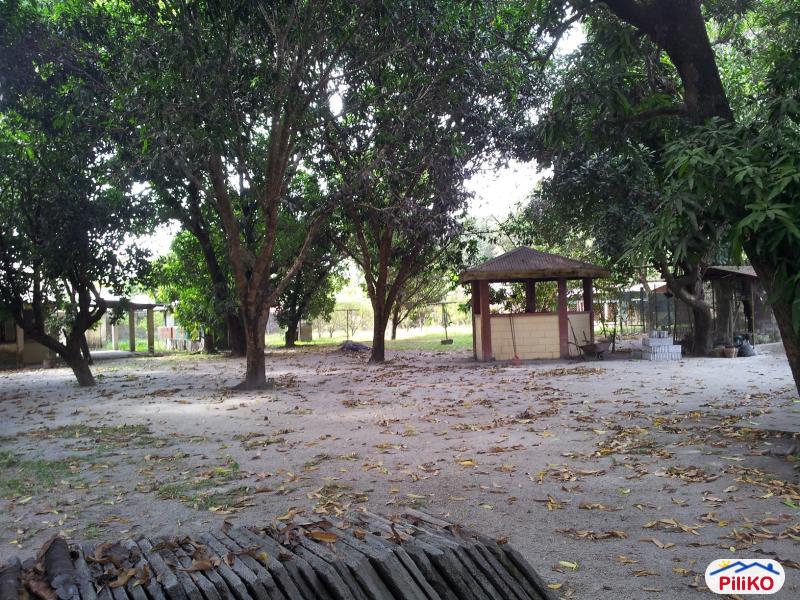 3 bedroom House and Lot for sale in Castillejos in Philippines