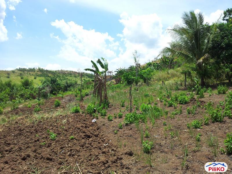 Residential Lot for sale in Castillejos - image 4