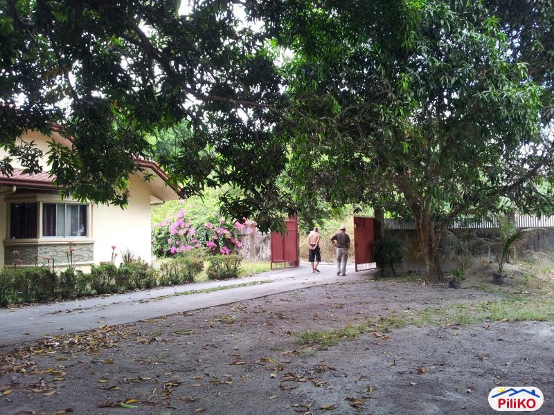 Picture of 3 bedroom House and Lot for sale in Castillejos in Zambales