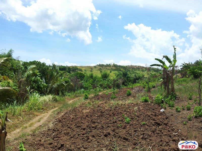 Residential Lot for sale in Castillejos - image 5