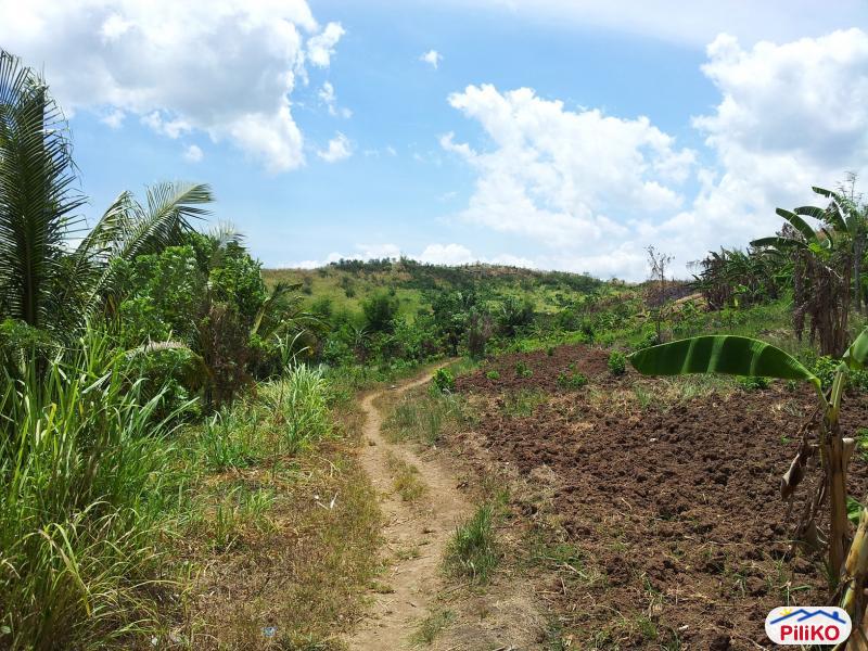 Picture of Residential Lot for sale in Castillejos in Philippines