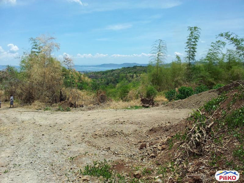 Residential Lot for sale in Castillejos in Zambales - image