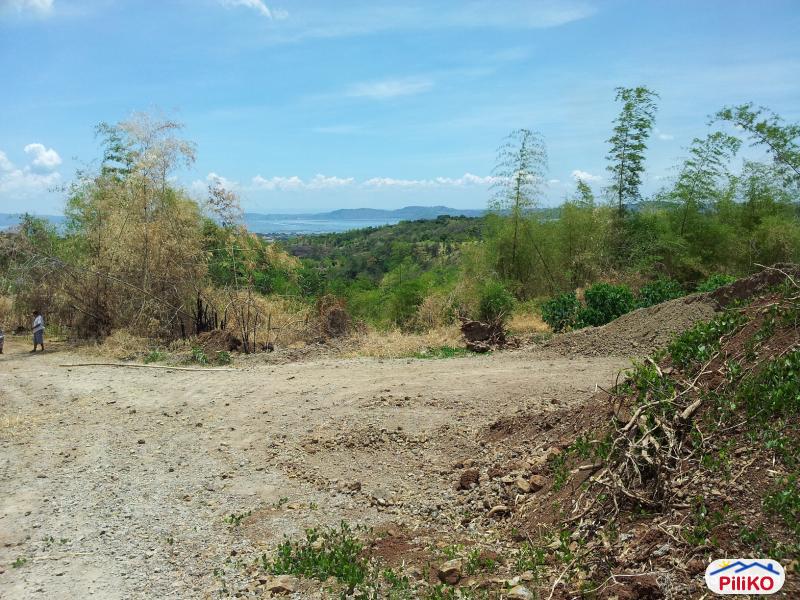 Residential Lot for sale in Castillejos - image 7