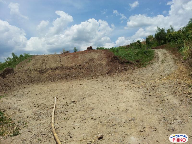 Residential Lot for sale in Castillejos - image 8